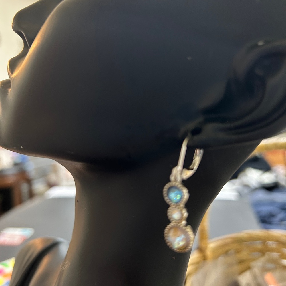 Touchstone Crystal Silver and Blue Earrings